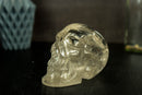 Large AAA Natura Diamantina Crystal Skull Head with Rainbows