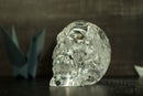 Gorgeous Natural Diamantina Quartz Crystal Skull with HUGE Rainbow Formations