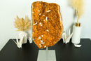 Deep Orange Citrine Cluster with Calcite Inclusions on Stand, 12.9 Kg - 28.3 lb - E2D Crystals & Minerals