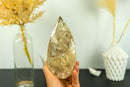 Large Genuine Citrine Crystal Point with Golden Honey Citrine Color