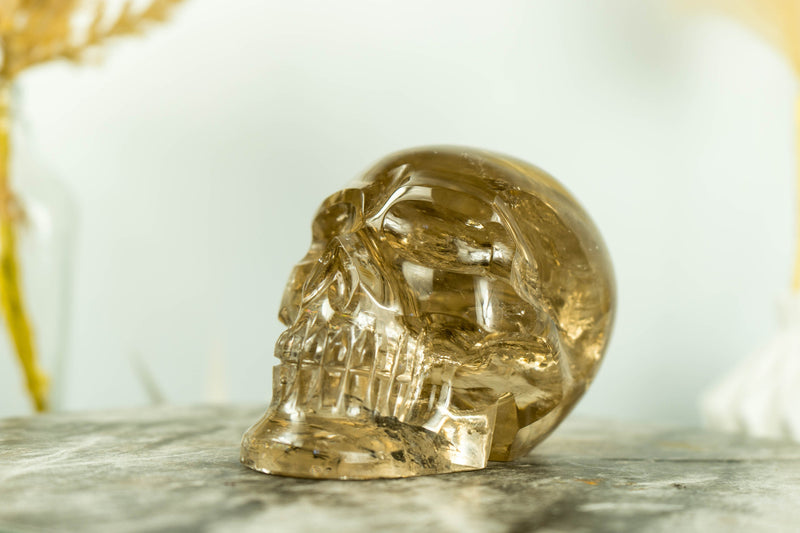 Rare Large Citrine Crystal Skull with AAA Golden Orange Citrine