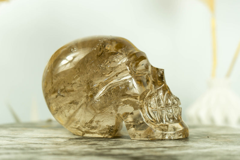 Rare Large Citrine Crystal Skull with AAA Golden Orange Citrine