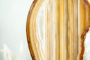 Rare Natural Undyed Lace Agate Slice with Intact Horizontal Bandings from Soledade