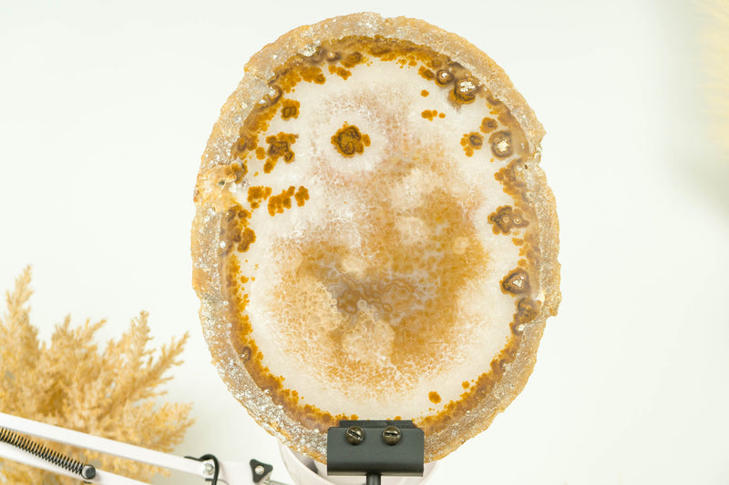 AAA Große natürliche ungefärbte goldene Spitzenachatscheibe mit Blumenrosette