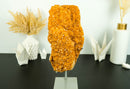 Large Orange Citrine Cluster with a Large Rosette Flower (Stalactite)