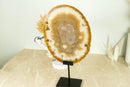 AAA Large Undyed Golden Lace Agate Slice with Flower Rosettes, from Soledade