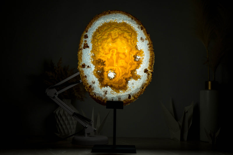 AAA Large Undyed Golden Lace Agate Slice with Flower Rosettes, from Soledade