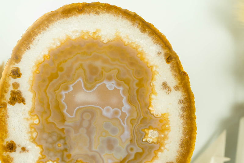 AAA Large Undyed Golden Lace Agate Slice with Flower Rosettes, from Soledade
