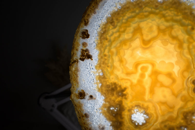 AAA Large Undyed Golden Lace Agate Slice with Flower Rosettes, from Soledade