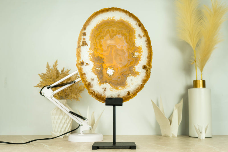 AAA Large Undyed Golden Lace Agate Slice with Flower Rosettes, from Soledade