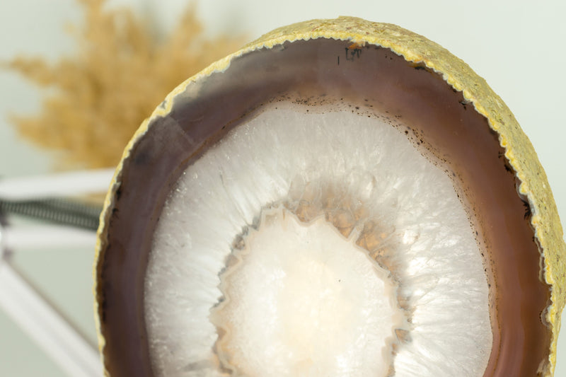 Natürliche Spitzenachatscheibe mit weißem Zuckerdrusen und dichroitischem Effekt, ungefärbt