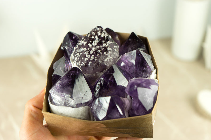 Wholesale AAA Large and Rare Amethyst Points Flat Box with Only High Quality Deep Purple Amethyst Points