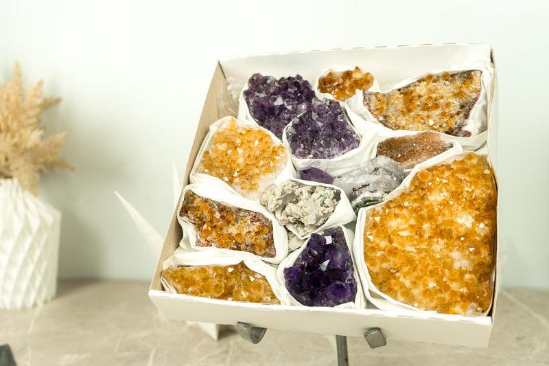 Hochwertige Amethyst- und Citrin-Cluster, Großhandels-Flachbox, Mineralien-Flachbox