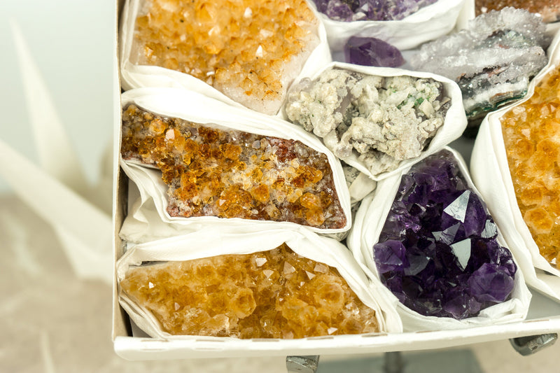 Hochwertige Amethyst- und Citrin-Cluster, Großhandels-Flachbox, Mineralien-Flachbox