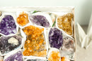 Amethyst und Citrin flach mit seltenen Amethystclustern, Großhandels-Flachbox
