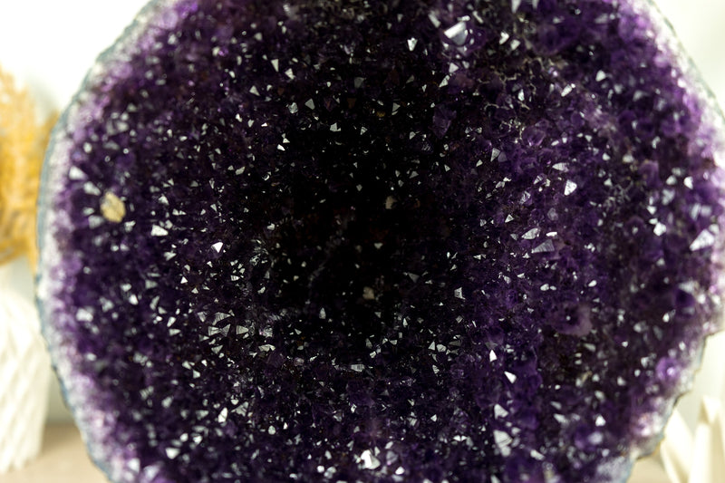 Alle natürlichen Amethyst Geode Höhle mit tief lila Galaxy Amethyst Druzy