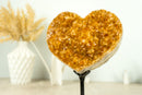 Citrine Heart with Deep Orange Citrine Druzy and Flower Stalactites