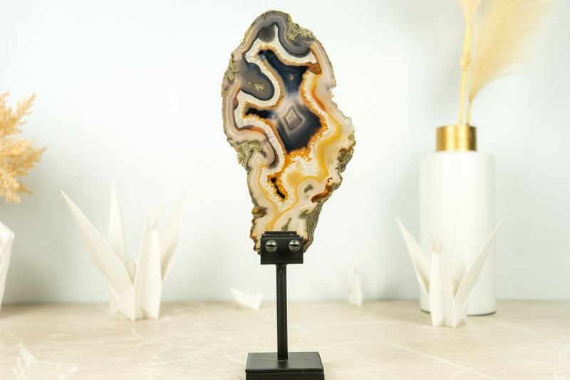 Rare Natural Undyed Yellow and Black Banded Agate Slice with the Drawing of a Dragon Face