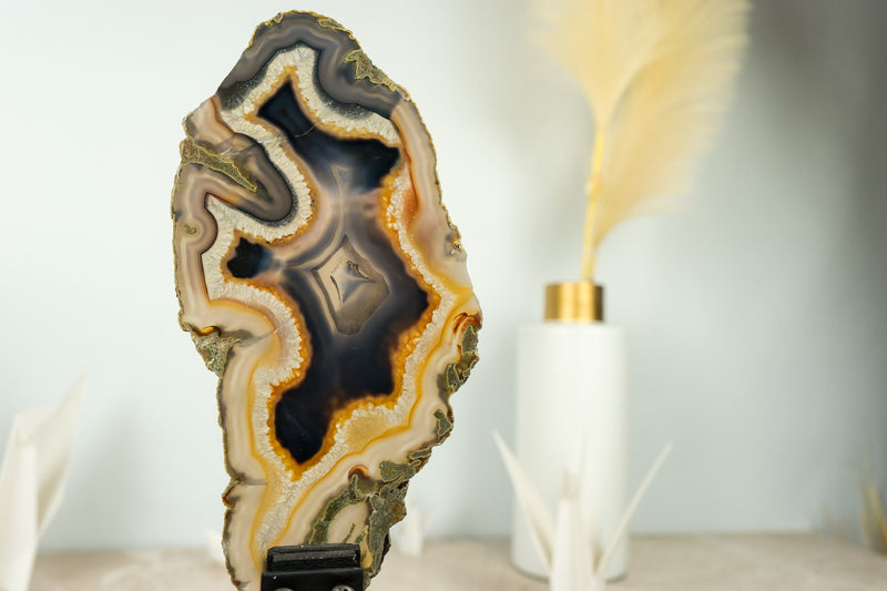 Rare Natural Undyed Banded Agate Slice with the Drawing of a Dragon Face