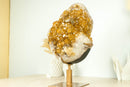 Seltener gelber Citrin-Cluster mit XL-Citrin-Blumenrosette auf einem auf Bestellung gefertigten Display