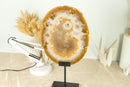 AAA Large Natural Undyed Golden Lace Agate Slice with Flower Rosette