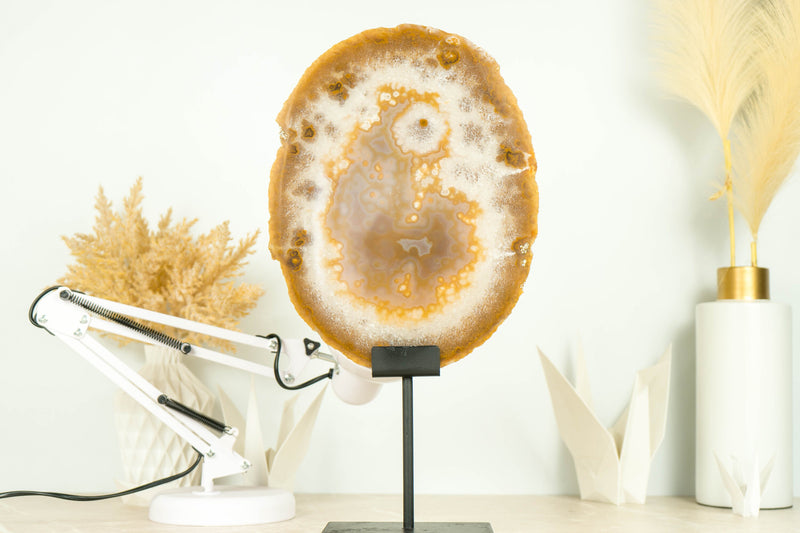 AAA Large Natural Undyed Golden Lace Agate Slice with Flower Rosette