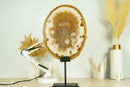 AAA Large Undyed Golden Lace Agate Slice with Flower Rosettes, from Soledade