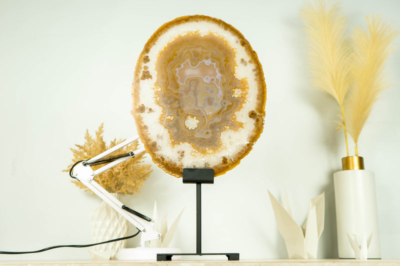 AAA Large Undyed Golden Lace Agate Slice with Flower Rosettes, from Soledade