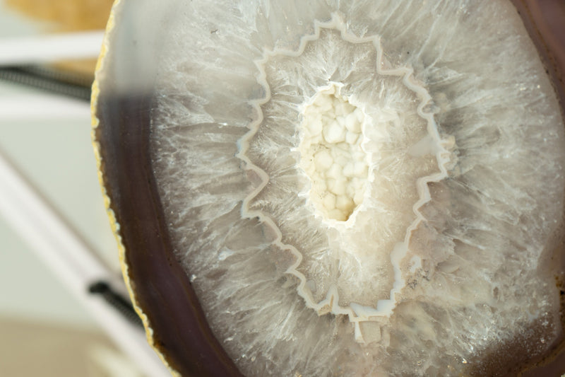 Natural Lace Agate Slice with White Sugar Druzy, and Dichroic Effect, Undyed