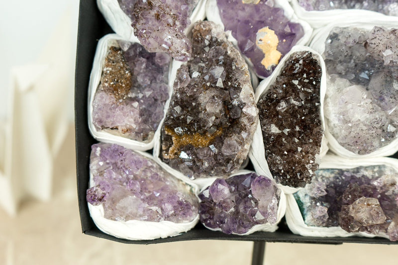 Flat Box of Rare Display Amethyst Crystal Clusters, Wholesale Bulk Lot - 11 Clusters