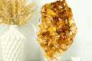 Small Deep Orange Citrine Crystal Cluster on Stand