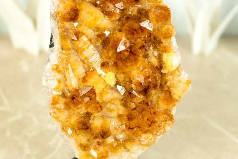 Small Deep Orange Citrine Crystal Cluster on Stand