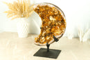 Fabulous Natural Citrine Cluster with Flower Rosette and Calcite, cut in a Moon Format - 6.6 Kg - 14.6 lb - E2D Crystals & Minerals