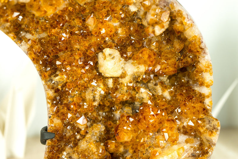 Fabulous Natural Citrine Cluster with Flower Rosette and Calcite, cut in a Moon Format - 6.6 Kg - 14.6 lb - E2D Crystals & Minerals