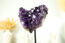 Large Amethyst Cluster with AAA Saturated Deep Purple Amethyst Druzy Points