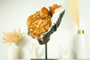 Fabulous Orange Citrine Cluster with Rare Citrine Druzy and Rosette Flowers (Stalactite) - 9.8 Kg - 21.5 lb - E2D Crystals & Minerals