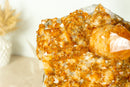 Fabulous Orange Citrine Cluster with Rare Citrine Druzy and Rosette Flowers (Stalactite) - 9.8 Kg - 21.5 lb - E2D Crystals & Minerals