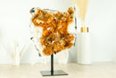 Gorgeous Deep Orange Natural Citrine Cluster with Citrine Stalactite Rosettes