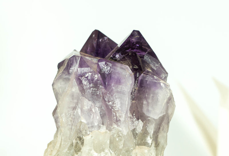 Tief und satt violetter Amethyst-Cluster mit XL-Traubengelee-Amethyst-Druzy