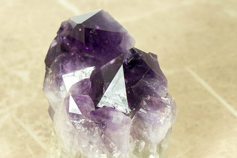 Tief und satt violetter Amethyst-Cluster mit XL-Traubengelee-Amethyst-Druzy