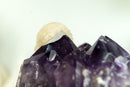 Rare Rich Purple Amethyst Cluster with Grape Jelly Amethyst Druzy and XL Cristobalite Flower