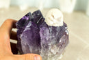 Rare Rich Purple Amethyst Cluster with Grape Jelly Amethyst Druzy and XL Cristobalite Flower