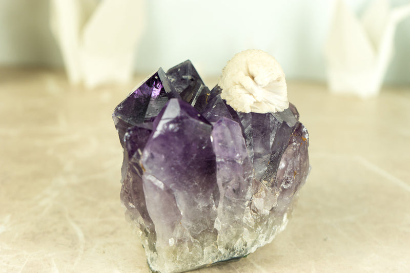 Rare Rich Purple Amethyst Cluster with Grape Jelly Amethyst Druzy and XL Cristobalite Flower