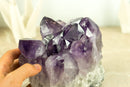 Natural Amethyst Cluster with Large Grape Jelly Amethyst Druzy, Self Standing