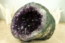 Alle natürlichen kleinen AAA Amethyst Geode mit tief lila Amethyst Druzy