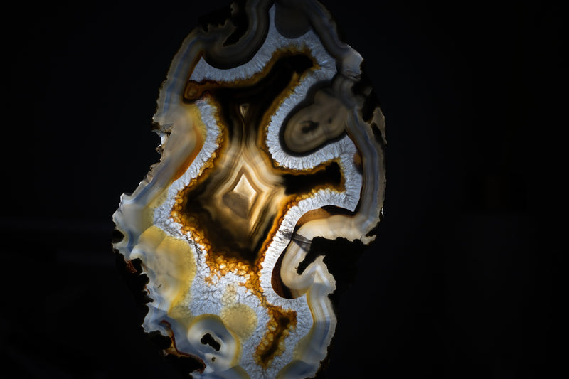 Rare Natural Undyed Yellow and Black Banded Agate Slice with the Drawing of a Dragon Face