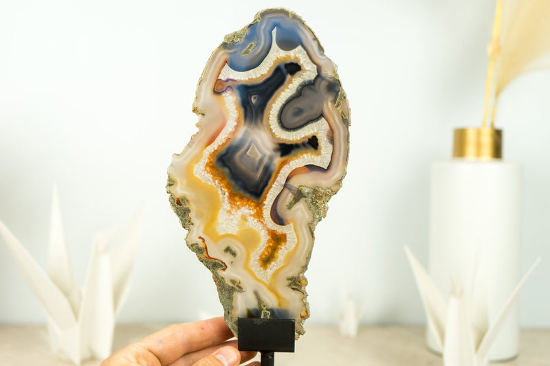 Rare Natural Undyed Yellow and Black Banded Agate Slice with the Drawing of a Dragon Face