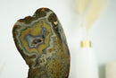 Rare Natural Undyed Agate Slice with Spectacular Agate Drawings, on Display