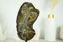 Rare Natural Undyed Agate Slice with Spectacular Agate Drawings, on Display