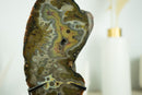 Rare Natural Undyed Agate Slice with Spectacular Agate Drawings, on Display